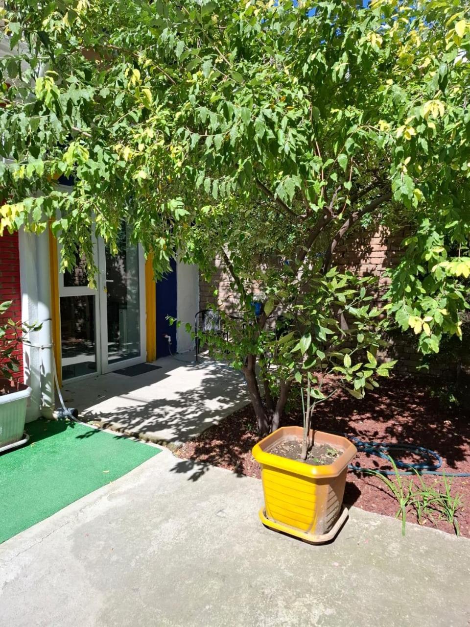 Style With Courtyard *
